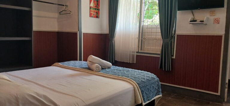 Superior Queen Room